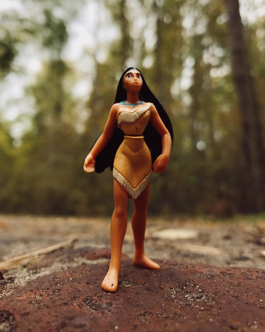 toys_pin in LOOKY. #indian,#pocahontas,#дети,#детство,#toy,#toys,#child,#children,#family,#disney,#shotoniphone,#iphonography,#iphone7,#mobilephotography,#love,#lol,#hipster,#woodworking,#wood,#nature,#travel. Pocahontas in the fo...