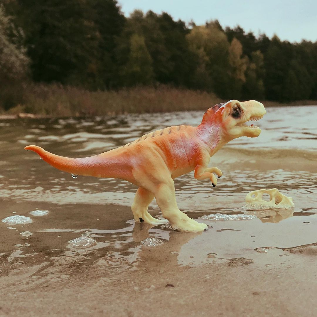toys_pin in LOOKY. #игрушки,#динозавры,#динозавр,#дети,#детство,#dinosaur,#dinosaurs,#child,#children,#family,#science,#shotoniphone,#iphonography,#iphone7,#mobilephotography,#love,#lol,#hipster,#woodworking,#wood,#nature,#travel,#hamlet,#jurassicworld,#shakespeare. Dino is the prince o...