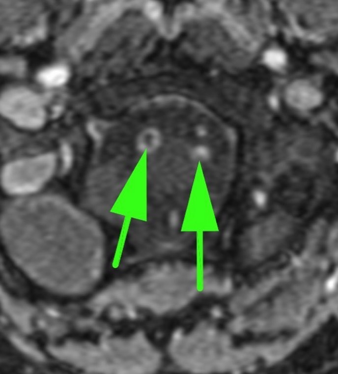 russianradiology в LOOKY — фото 6