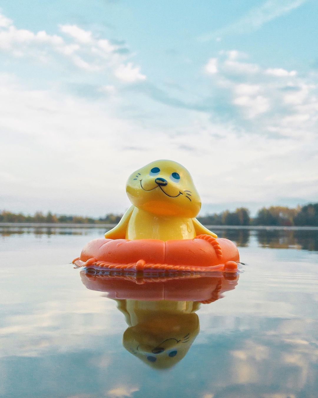 toys_pin in LOOKY. #hamleys,#toy,#mytoy,#swimming,#swim,#children,#seal,#lake,#дети,#детскиеигры,#детскиевещи,#тюлень,#smile,#shotoniphone,#iphonography,#shotoniphone7,#love,#lol,#kidsplay,#naturephotography,#travel. Такая безмятежность ...