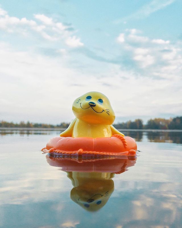 toys_pin в LOOKY. #hamleys,#toy,#mytoy,#swimming,#swim,#children,#seal,#lake,#дети,#детскиеигры,#детскиевещи,#тюлень,#smile,#shotoniphone,#iphonography,#shotoniphone7,#love,#lol,#kidsplay,#naturephotography,#travel. Такая безмятежность ...