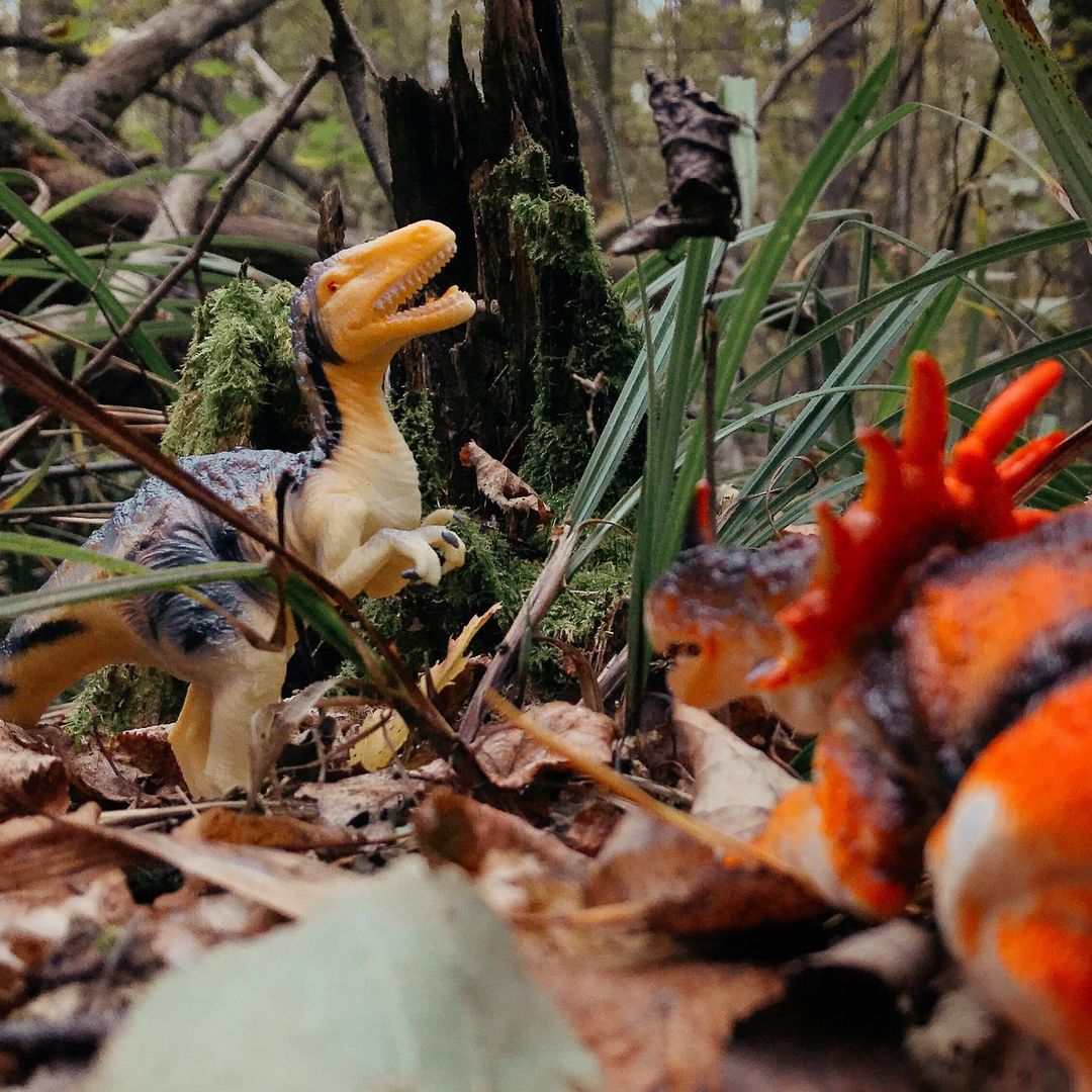 toys_pin in LOOKY. #игрушки,#динозавры,#динозавр,#дети,#детство,#dinosaur,#dinosaurs,#child,#children,#family,#science,#shotoniphone,#iphonography,#iphone7,#mobilephotography,#love,#lol,#hipster,#woodworking,#wood,#nature,#travel,#jurassic,#hunter,#fight,#dinosaure,#paleontology. Herbivores vs Predat...