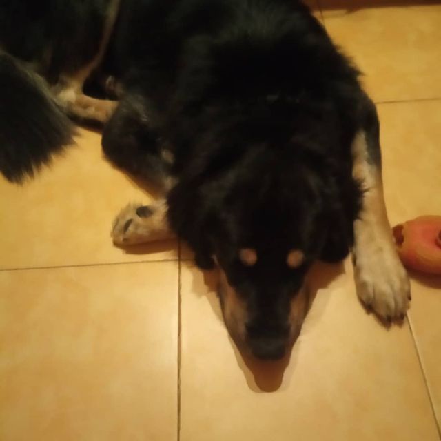 nio_66 в LOOKY. . Спим. Всем спокойной...