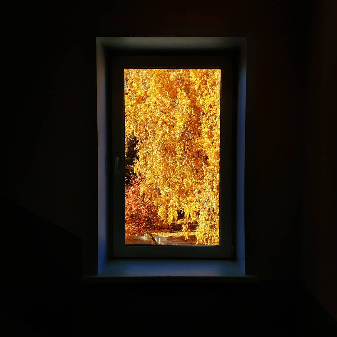 macawelli в LOOKY — autumn outside