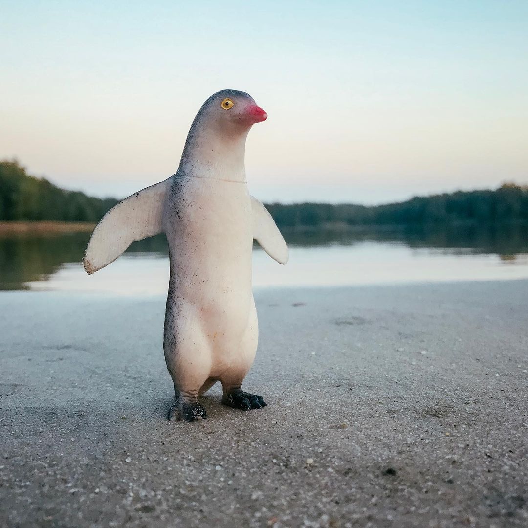 toys_pin in LOOKY. #hotwheels,#matchbox,#nature,#animals,#love,#пингвины,#sea,#world,#water,#travel,#naturephotography,#naturelovers,#toy,#children,#fantasy,#lol,#pinguins,#australia,#miniature,#shotoniphone,#iphone7,#sunset,#mobilephotography,#mobilephoto,#photoiphone,#ocean. Обитатели морей / in...
