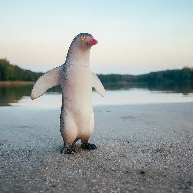 toys_pin в LOOKY. #hotwheels,#matchbox,#nature,#animals,#love,#пингвины,#sea,#world,#water,#travel,#naturephotography,#naturelovers,#toy,#children,#fantasy,#lol,#pinguins,#australia,#miniature,#shotoniphone,#iphone7,#sunset,#mobilephotography,#mobilephoto,#photoiphone,#ocean. Обитатели морей / in...