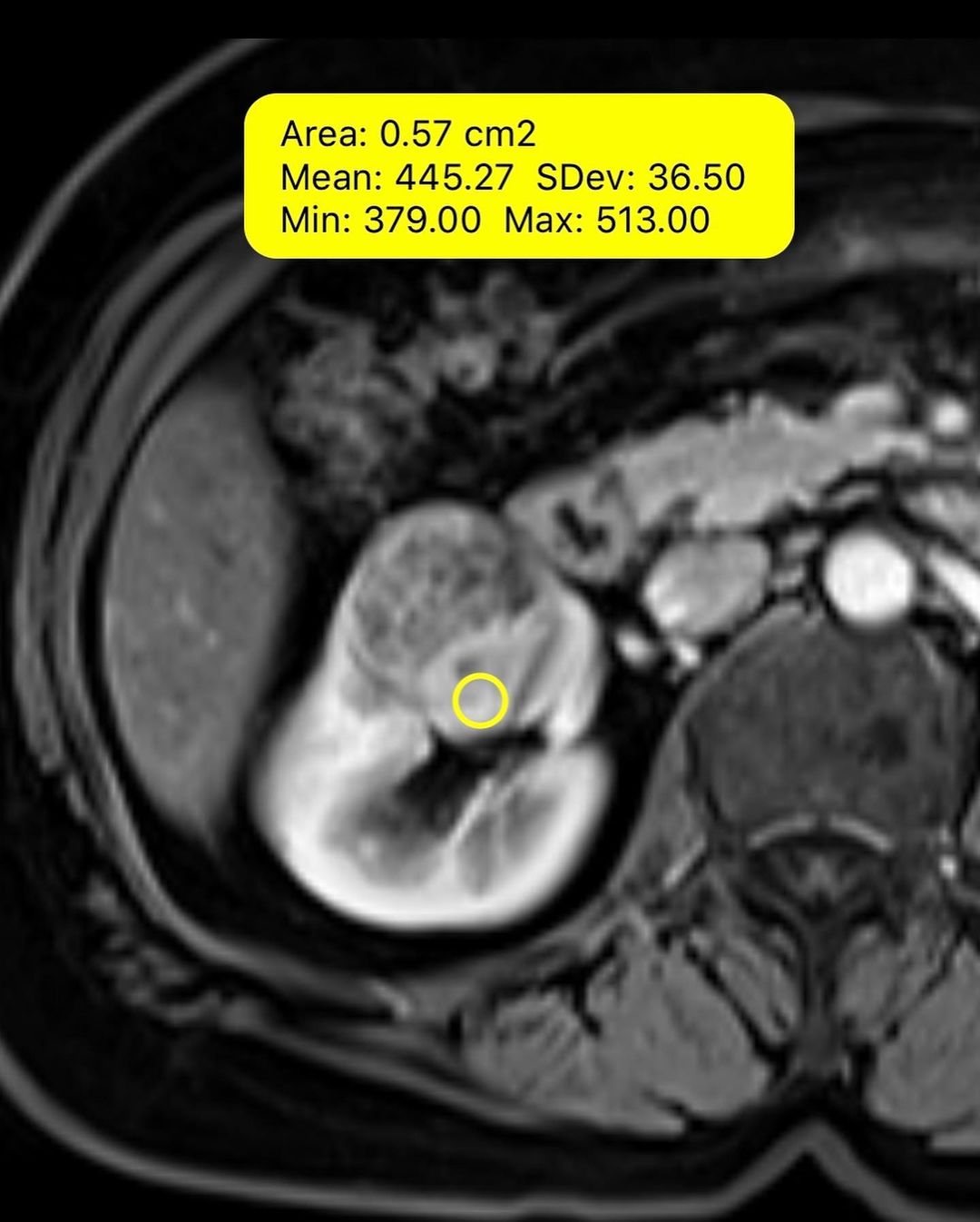russianradiology в LOOKY — фото 2