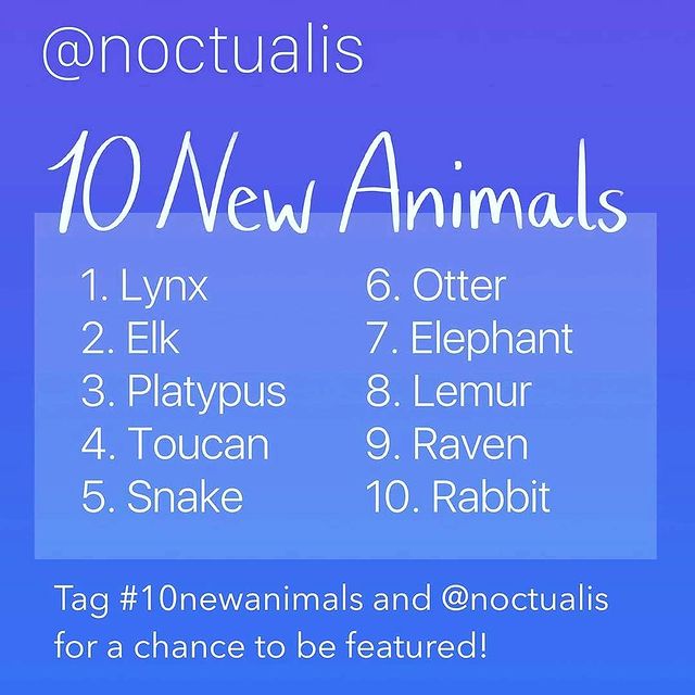 callileo75 в LOOKY. #promptlist,#artchallenge,#10newanimals,#noctualis,#challenge,#art,#animalart,#artistsoninstagram,#animalillustrations,#regrann. Иностранный челлендж...