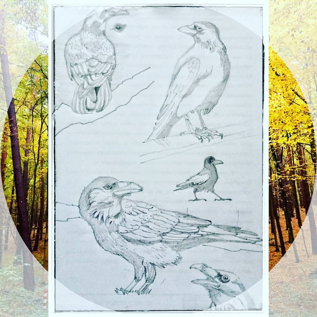 callileo75 in LOOKY. #raven)))),#10newanimals. Here's  my first ani...