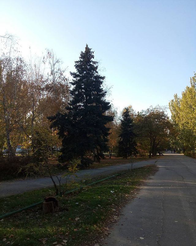 katarinka_kiri in LOOKY. . Осень...ммм..единств...