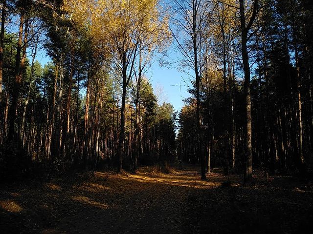l_aroma_rich_l в LOOKY. #photo,#photooftheday,#photogrid,#photoshoot,#nice,#xd,#live,#world,#heathers,#sad,#forest. #photo #photooftheda...