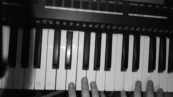 _zokzot_ в LOOKY. #клавиши,#синтезатор,#летов,#егорлетов,#piano. Постигаю клавиши
#кл...