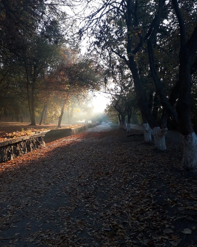 buntarka_161 in LOOKY. #утро,#старыйпарк. В старом парке царст...