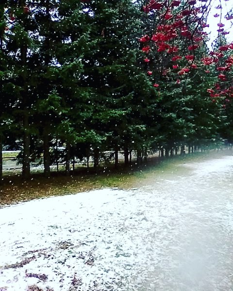 iudestova в LOOKY. . Красота в деталях 🤗...
