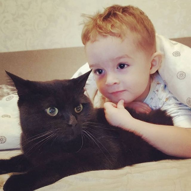 lexi в LOOKY. #лучшиедрузья,#барсик,#брутальныйкот,#сына. Лучшая подушечка)

#...