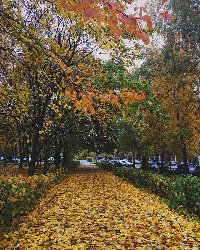natashkin_ee в LOOKY. #fall,#vsco,#vscocam,#instaday,#instamood,#dreams,#sweethome,#moscow,#russia,#москва,#россия,#dayoff,#осеннеенастроение🍁. Autumn things 🍁🍂#a...
