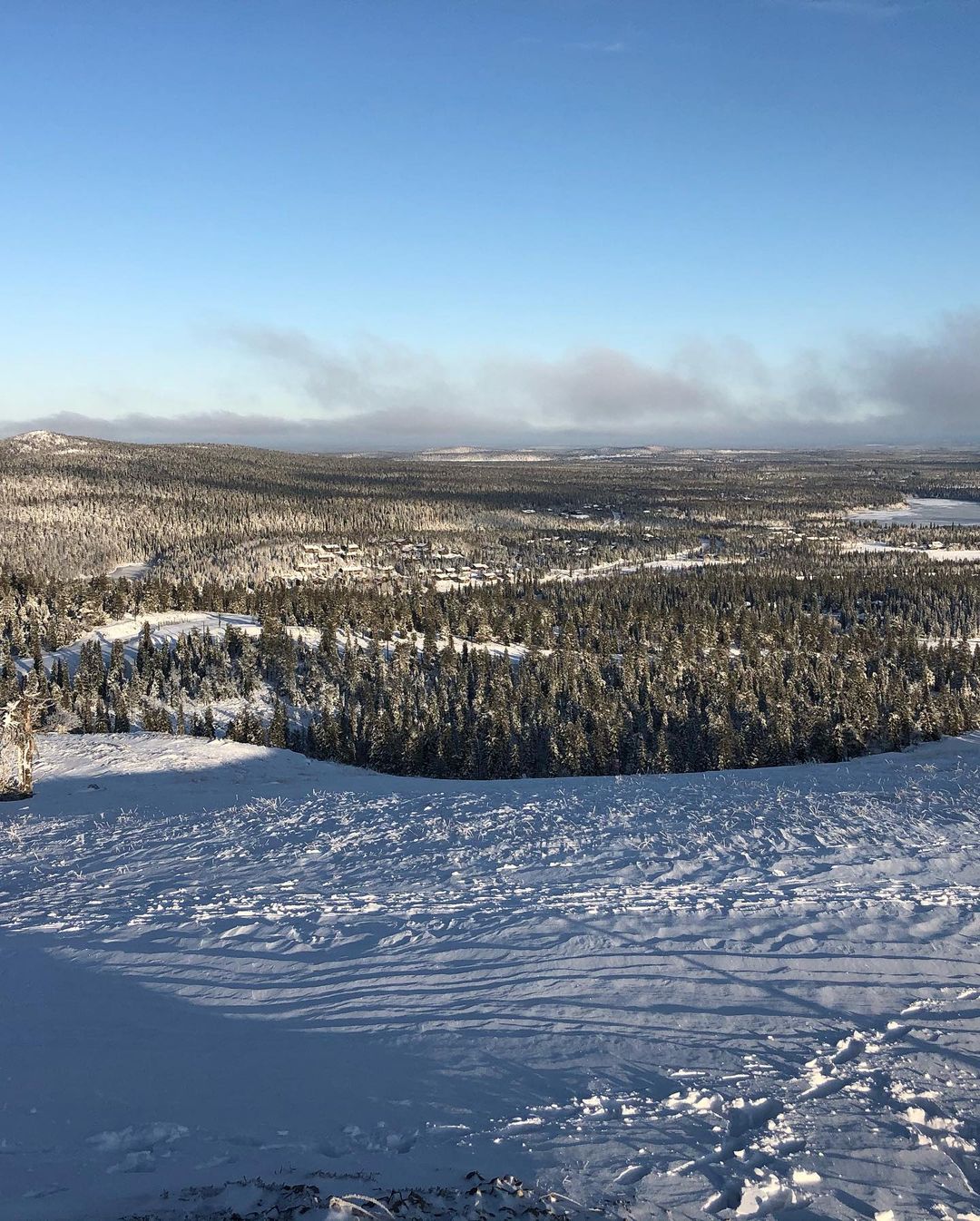 ardashev в LOOKY — фото 3