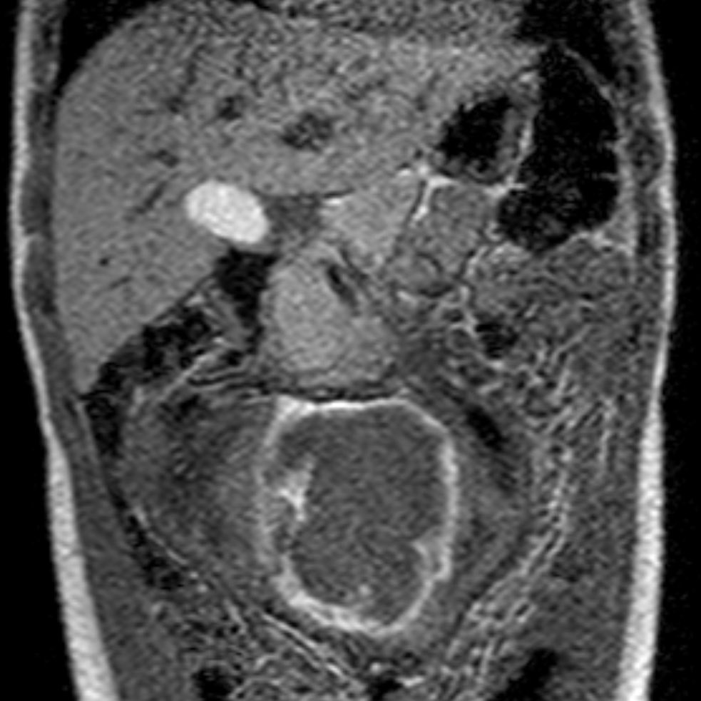 russianradiology в LOOKY — фото 5