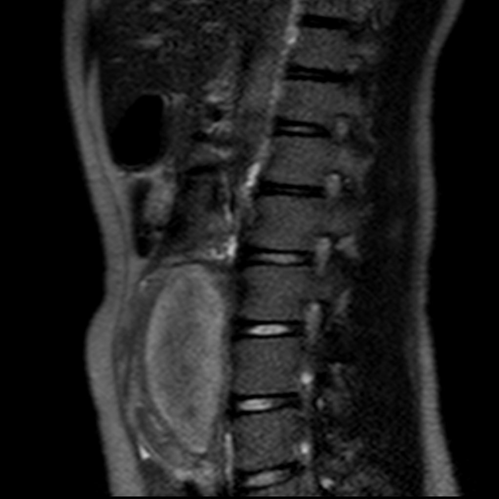 russianradiology в LOOKY — фото 8