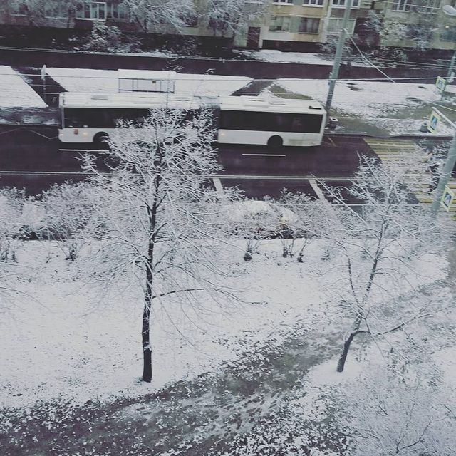 joy_light24 в LOOKY. . Первый снежок 🌨
29....