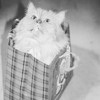 nio_66 в LOOKY. . Убежала на радугу мо...