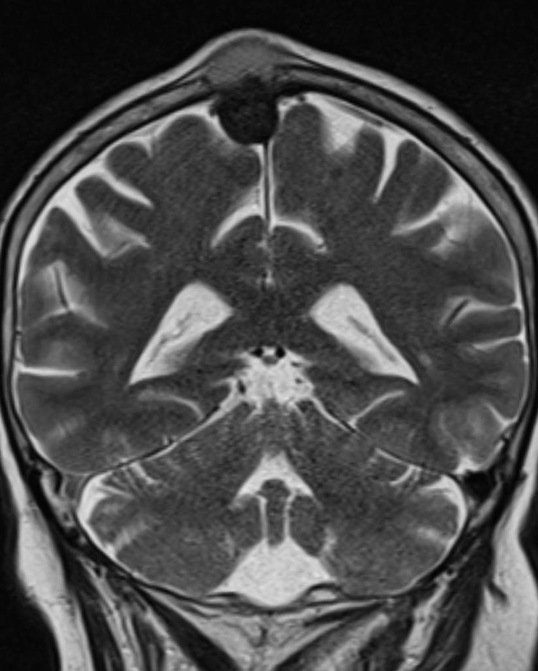 russianradiology в LOOKY — фото 2