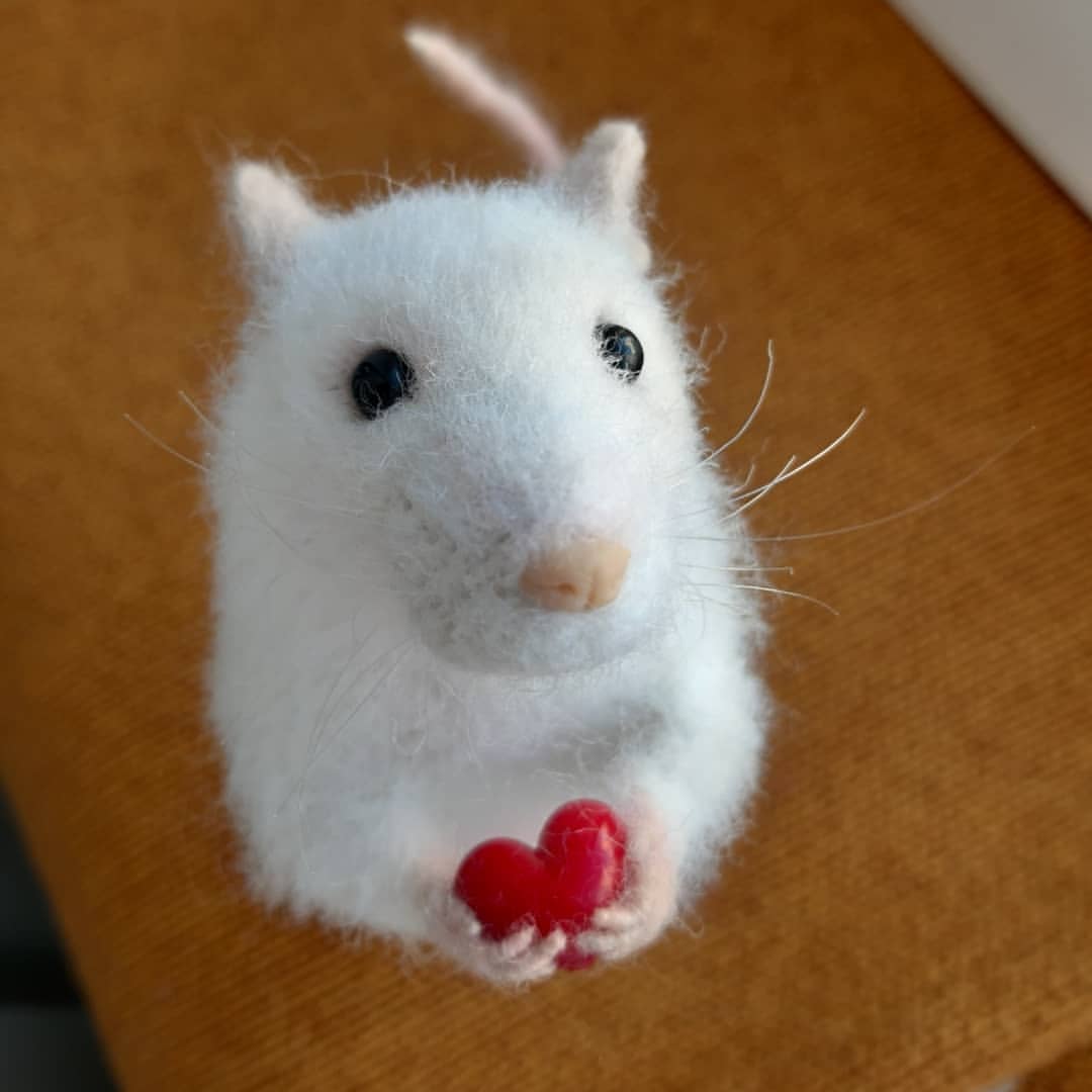 kovkafreedom в LOOKY — фото 3