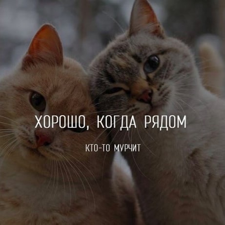 Imiraplahuta в LOOKY. . null