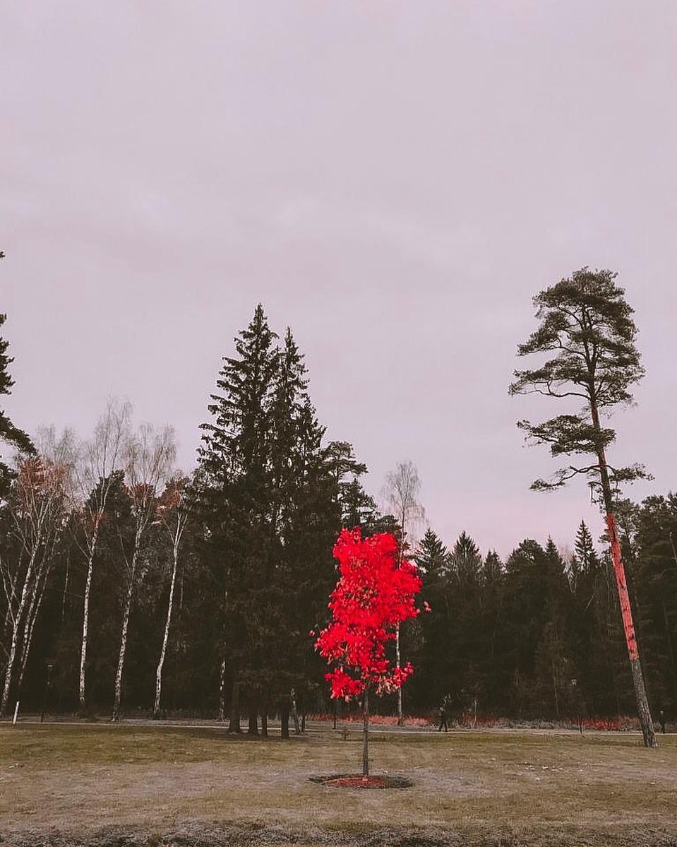 daria__basova in LOOKY. #❤️. Что нас объединяет с...