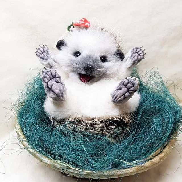 tanya_lisa_ в LOOKY. #хеллотедди. Малыш Ёси 🥰 прошу л...