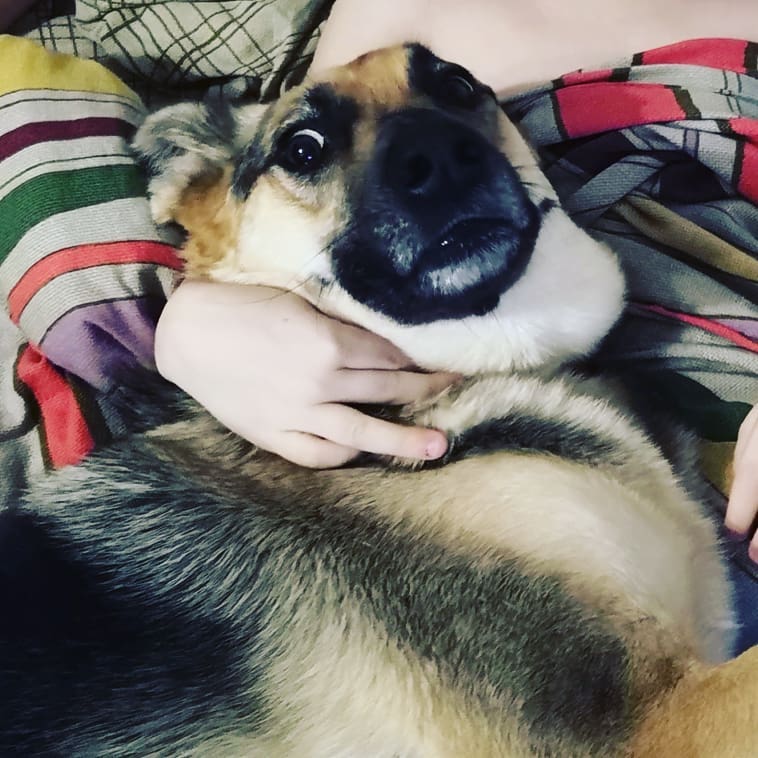 yulya.chusova в LOOKY — Тот момент когда тебя застукали😂
#безсобакижизньнета🐕 #соб