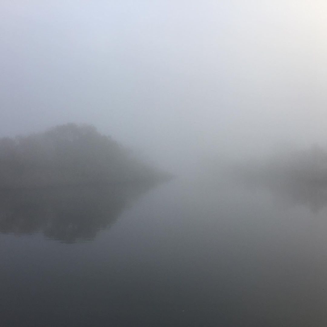 #fog #gloomy_forest #SilentHill #liketeam #l4l #likesfortags #likebackteam #liking #instalikes #likesforlike #likes4likes #followshoutoutlikecomment #followmeplease #followers #followforfollow #followall #followback #followforfollowback #followplease