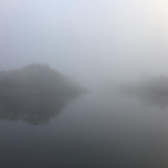 demented_cheshire_ в LOOKY. #fog,#gloomy_forest,#SilentHill,#liketeam,#l4l,#likesfortags,#likebackteam,#liking,#instalikes,#likesforlike,#likes4likes,#followshoutoutlikecomment,#followmeplease,#followers,#followforfollow,#followall,#followback,#followforfollowback,#followplease. #fog #gloomy_forest ...