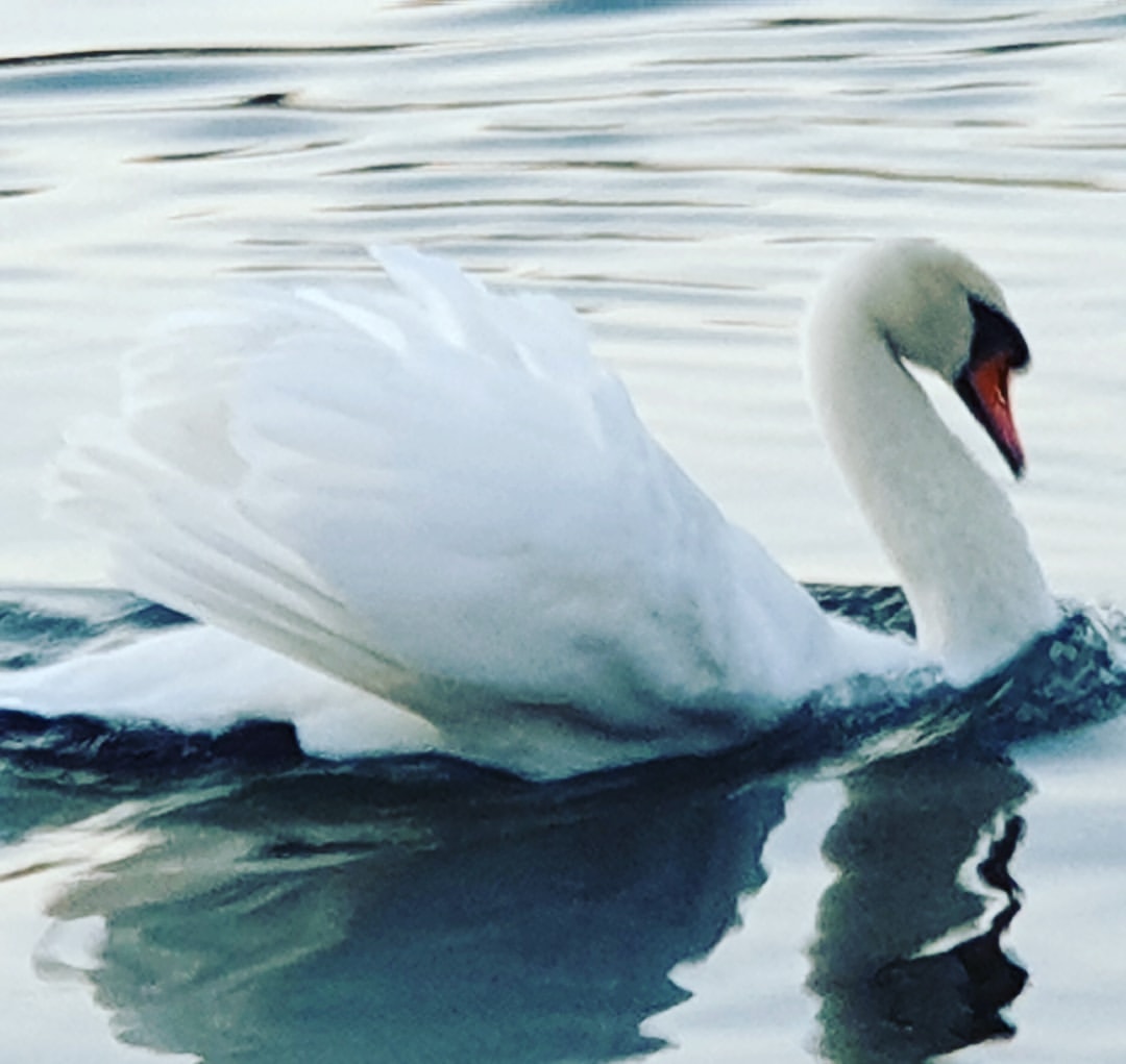 ivan_photo_s в LOOKY — публикация