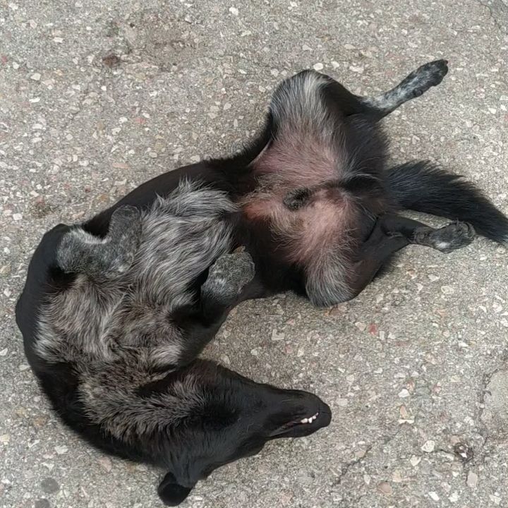 otzovika в LOOKY. . Это ж надо так спать...