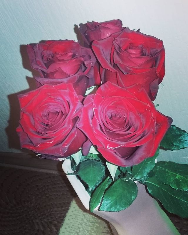 rezedusha_ в LOOKY. #деньмамы🌹. От моих мужчин 💋😘
...