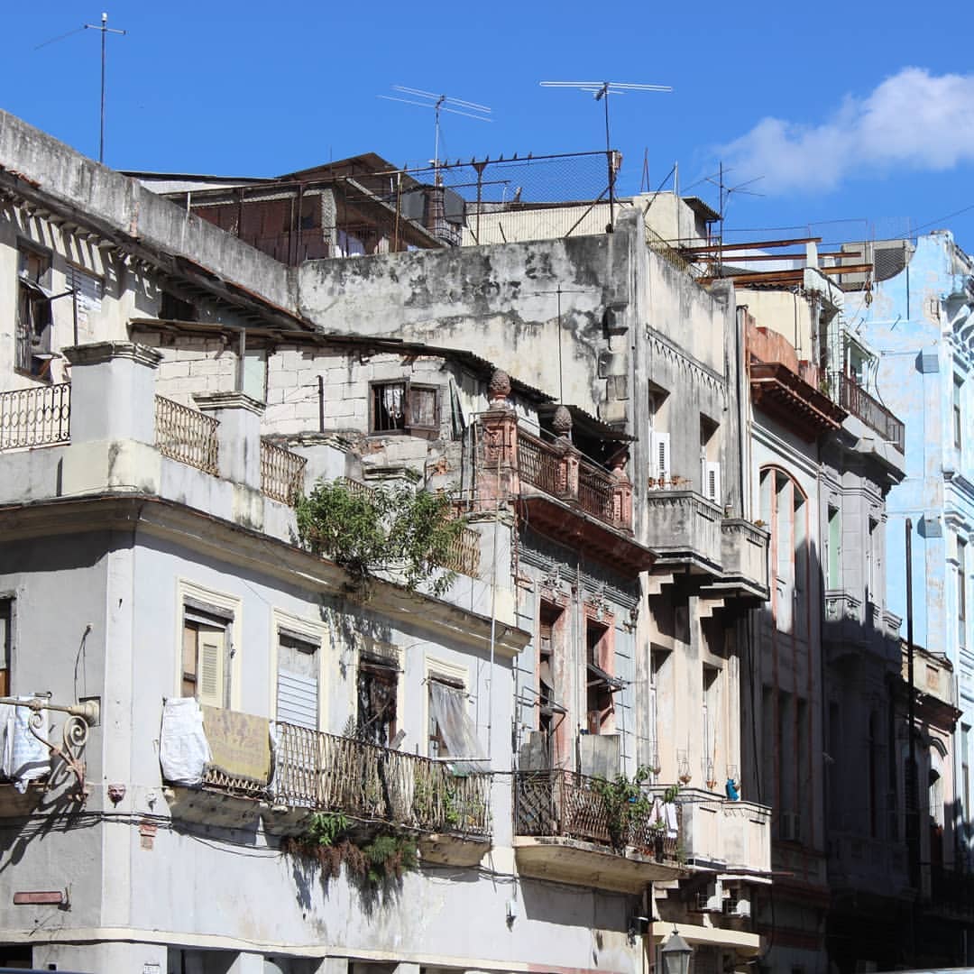 lezhnina_estate в LOOKY — фото 6