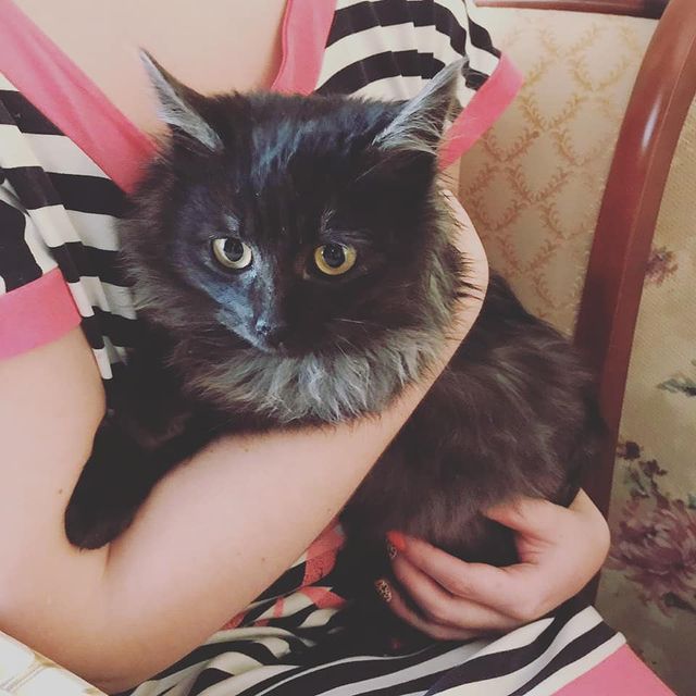 makashinaaa в LOOKY. #котеноквдармосква,#котвдар,#котенокищетдоммосква. Дом найден!
Друзья! ...
