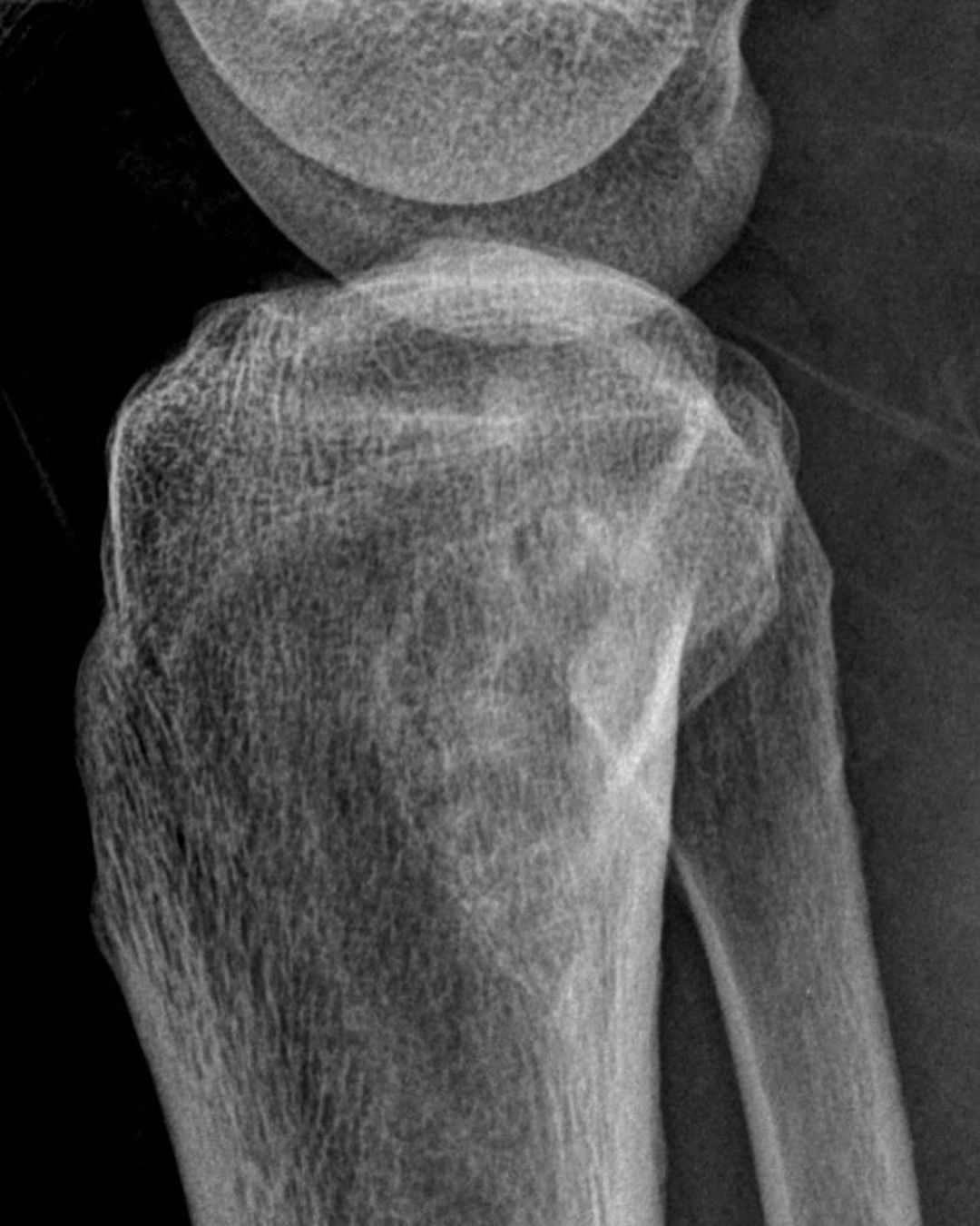 russianradiology в LOOKY — фото 2