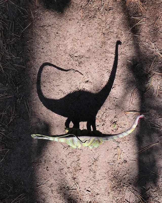 toys_pin в LOOKY. #игрушки,#динозавры,#дети,#детство,#видсверху,#toy,#mytoy,#dinosaur,#dinosaurs,#dinos,#kid,#children,#child,#shotoniphone,#iphonography,#iphotography,#caseiphone7,#mobilephoto,#mobilephotography,#love,#family,#minimalism,#miniature. Look at the world th...