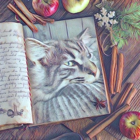 samson_and_barrymore.bobtails в LOOKY — фото 4