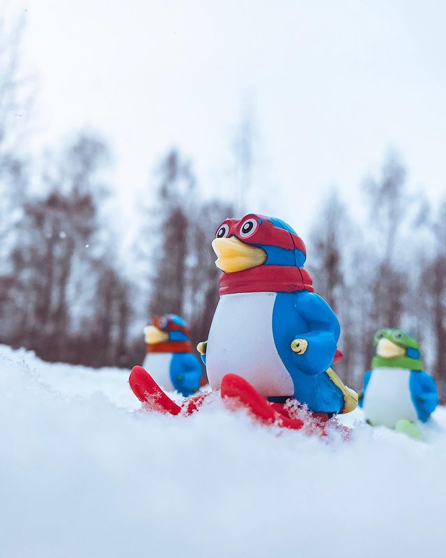 toys_pin в LOOKY. #игрушки,#дети,#зима,#лыжи,#пингвины,#children,#winter,#skiing,#skiing🎿,#pinguin,#snow,#freestyle,#frost,#shotoniphone,#caseiphone,#iphonography,#iphotography,#mobilephotography,#mobilephoto,#friends,#friendship,#sport,#fischer,#head,#atomic. True friendship does...