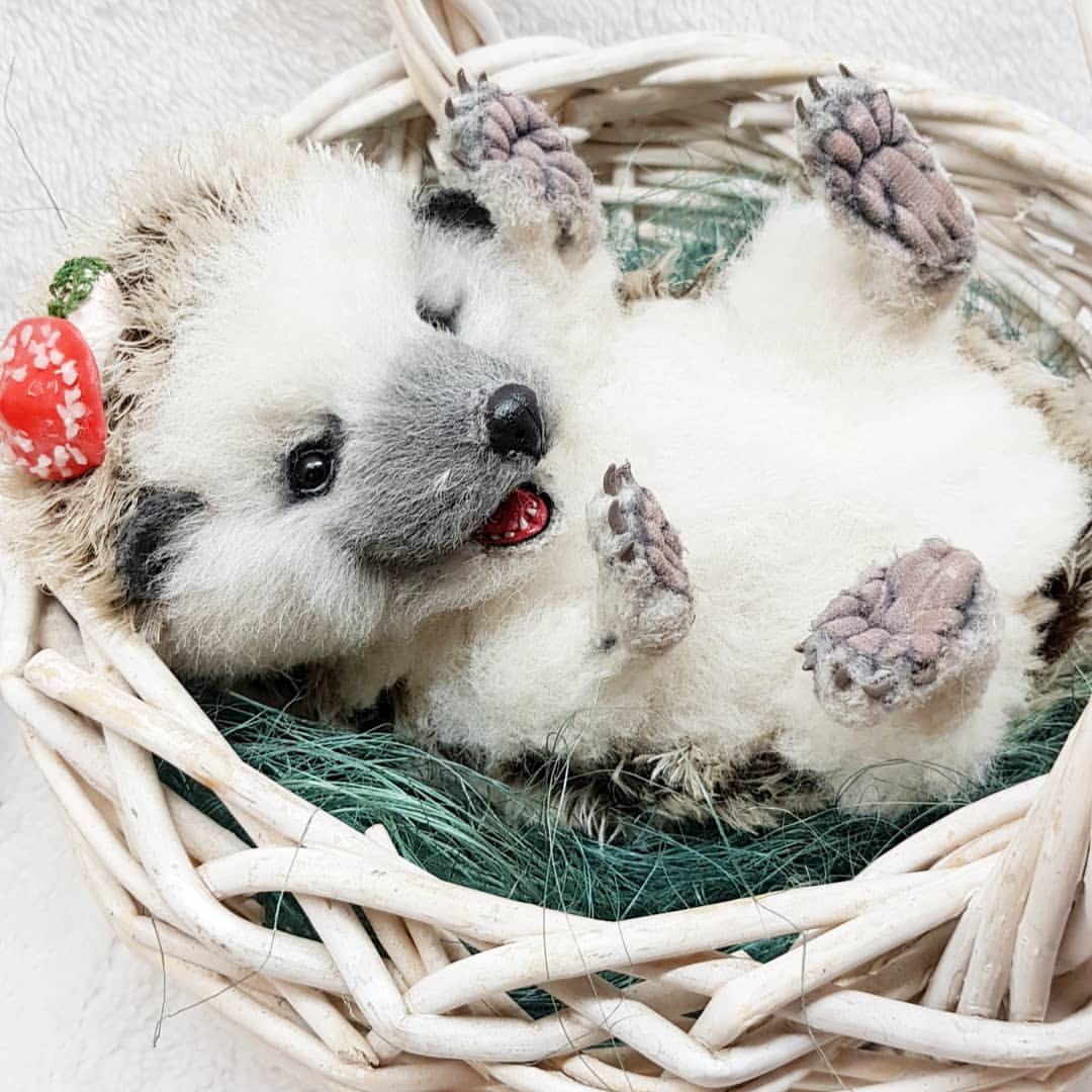 tanya_lisa_ in LOOKY. #хеллотедди,#helloteddy,#теддиежик,#натюр,#мишкитедди,#милыйзверек,#teddybear,#bears,#bearpile,#еж,#ежик. Малыш Ёси побывал на...