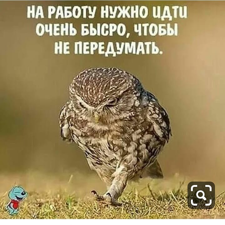 rinn04ka в LOOKY — Советы мудрой совы 😀