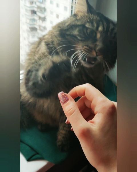 florenciyaa в LOOKY. . Утренние тупилки.