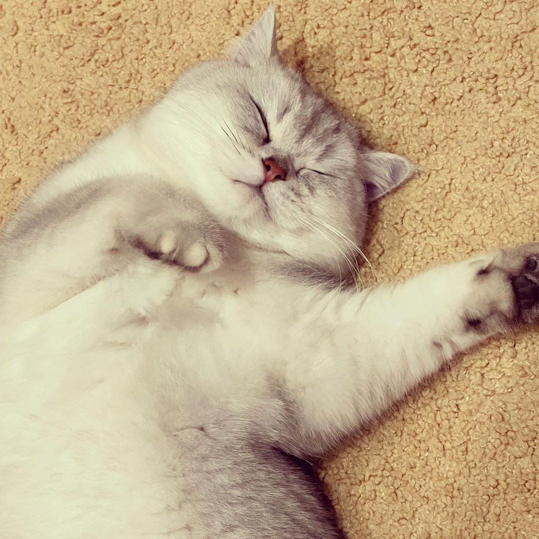 evgenya_dud в LOOKY — публикация