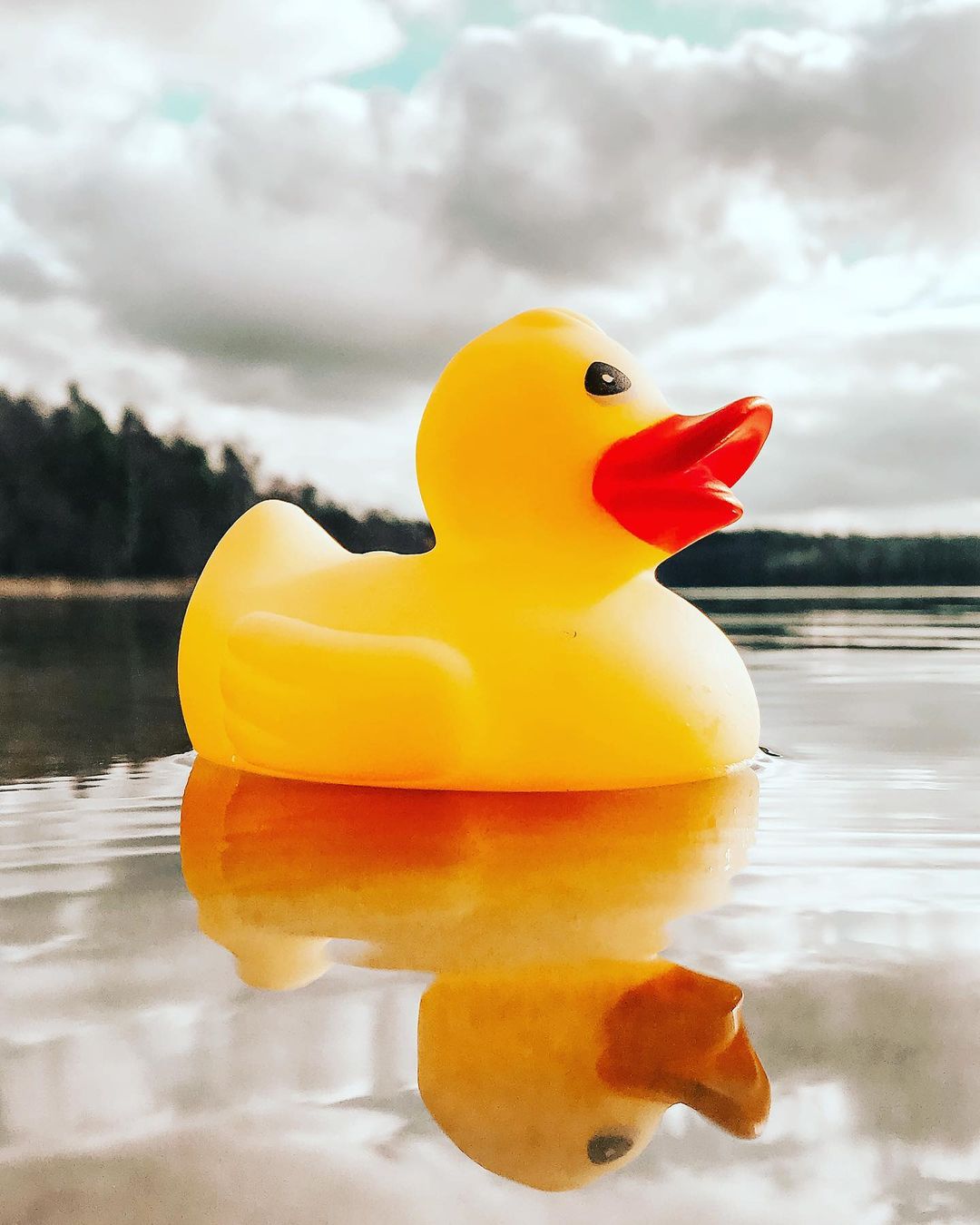 toys_pin in LOOKY. #mytoy,#mytos,#rubberducks,#rubberduck,#duck,#ducks,#yellow,#nature,#lake,#travel,#shotoniphone,#caseiphone,#iphonography,#iphonographer,#caseiphone7,#mobilephotography,#mobilephoto,#love,#игрушки,#утенок,#дети,#детство. Kristofferson and Mc...