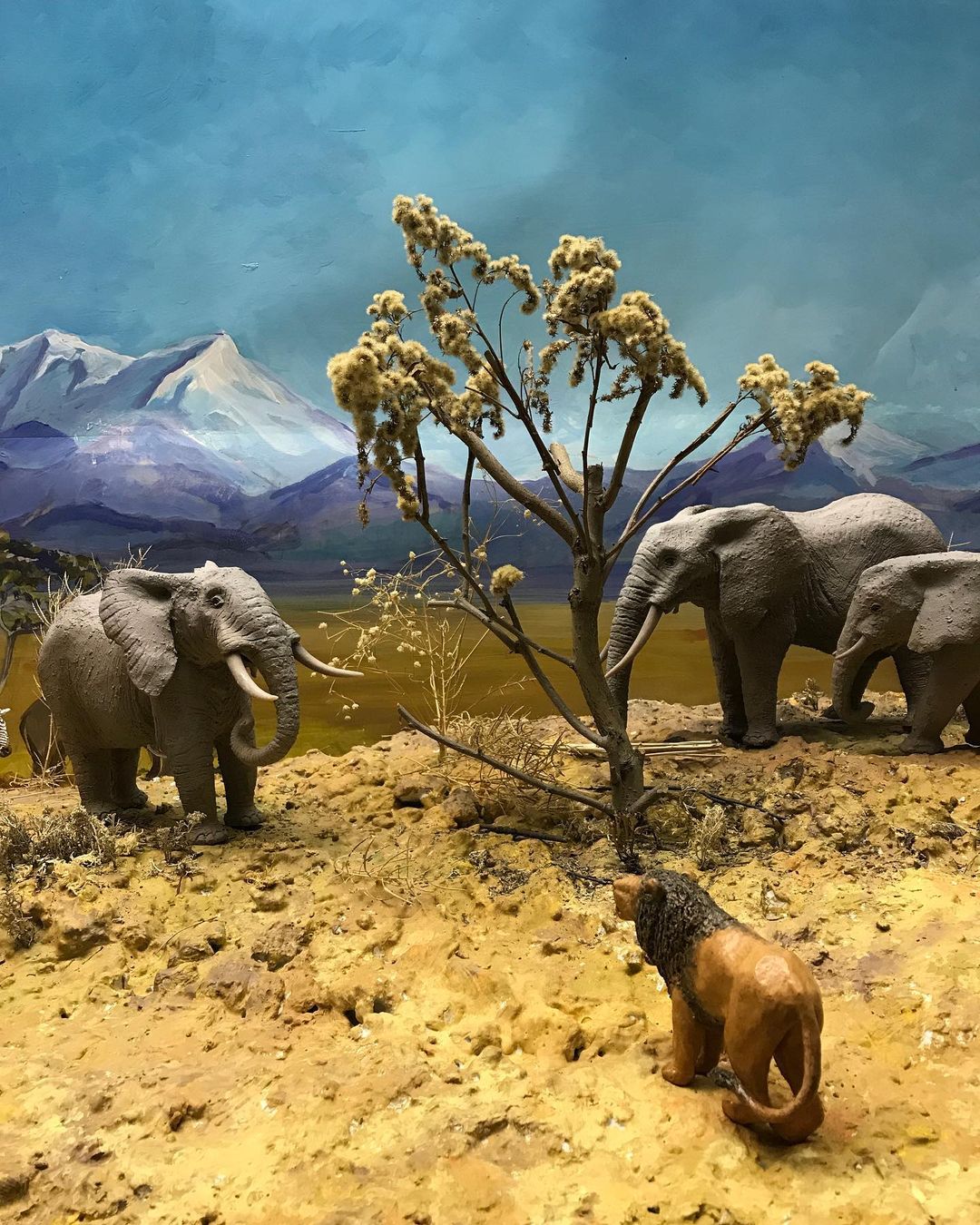 toys_pin in LOOKY. #африка,#africa,#shroud,#animals,#animal,#lion,#elephant,#desert,#miniature,#miniatures,#nature,#naturephotography,#instagram,#shotoniphone,#iphonography,#caseiphone7,#museum,#музей,#дарвиновскиймузей,#саванна. I saw in one of the ...