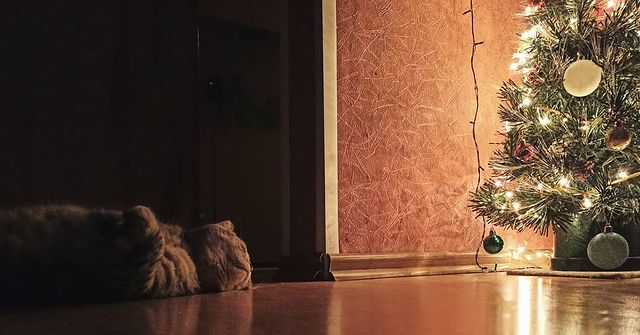 p_.jull в LOOKY. . Время волшебства бли...