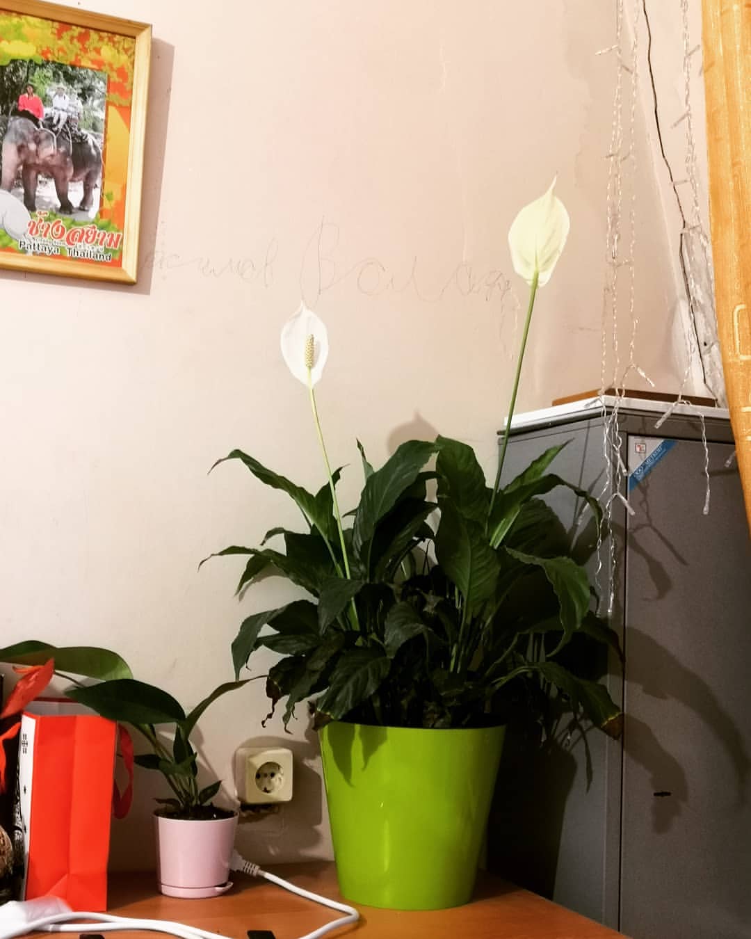 maksim_varvara в LOOKY — Я обожаю разные скидки, и разные способы сэкономить при поку